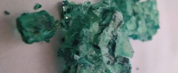 A picture containing plant, green, vegetable, meal

Description automatically generated