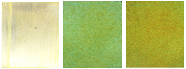 A picture containing text, grass

Description automatically generated