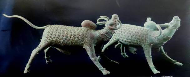 A picture containing invertebrate, arthropod

Description automatically generated