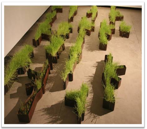 A picture containing plant, leaf

Description automatically generated