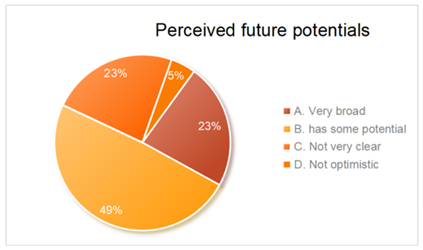 Perceived Future Potential