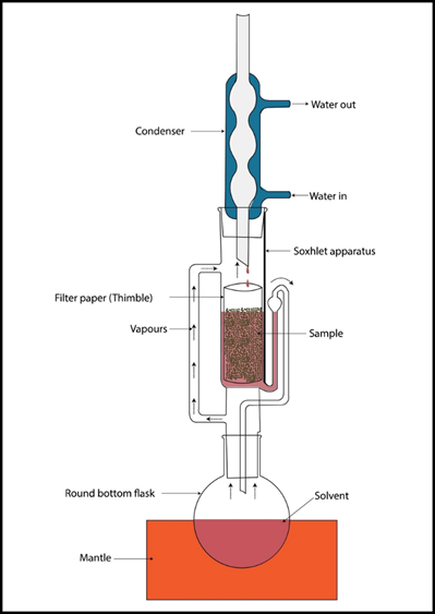Figure 1 Herbal Extracts 
Source: Author Generated (Canva)
