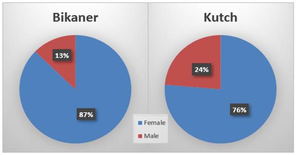 A blue and red pie chart

Description automatically generated