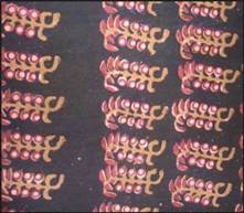 A close-up of a fabric

Description automatically generated