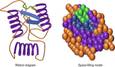 Globular Protein - an overview | ScienceDirect Topics