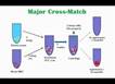 Blood Cross (X) match Test | copatibility testing for Transfusion ...