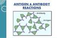 Antigen-Antibody Reactions