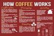 Description: How our coffee works - Sabie Valley Coffee