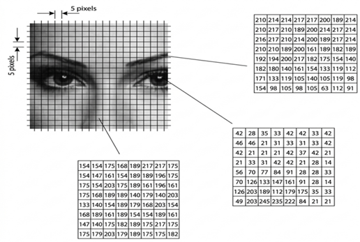 Schematic Diagram of the Image Segmentation