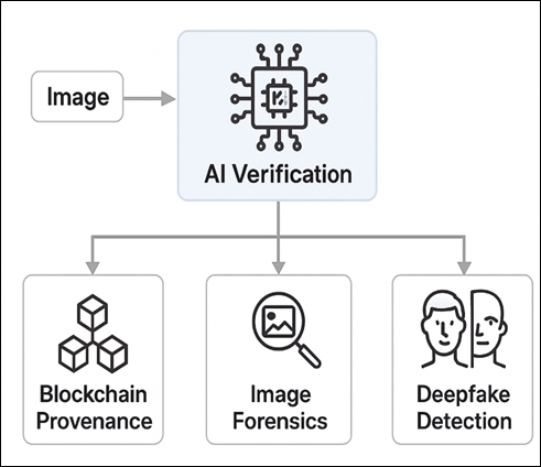 Verification Ecosystem in Photojournalism