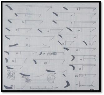 A close-up of a paper

Description automatically generated