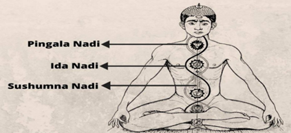 A drawing of a person sitting in a yoga pose

Description automatically generated